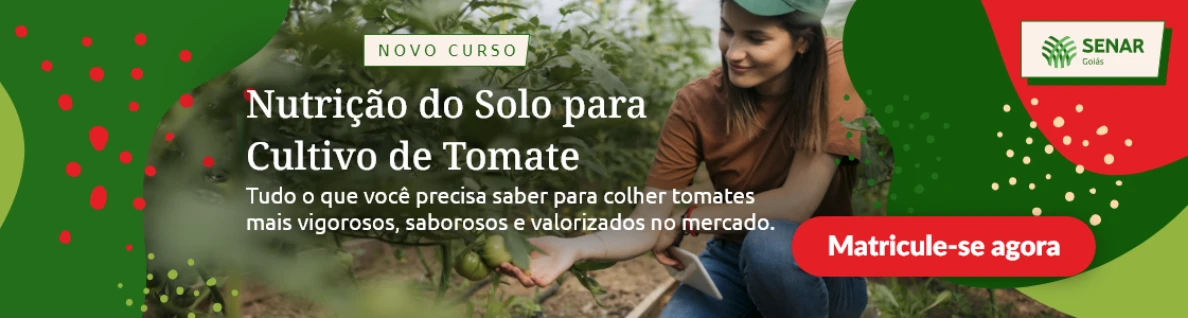20250610 senar goias banners nutricao do solo tomate lancamento PORTAL FAEG