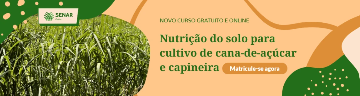 20250923 senar goias banners lancamento cultivo de cana PORTAL FAEG